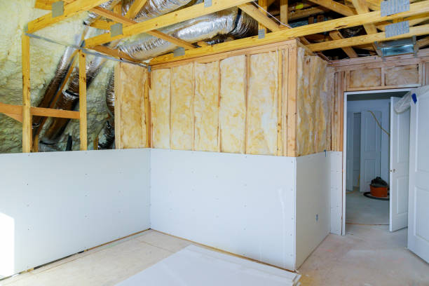 Best Eco-Friendly or Green Insulation Solutions  in Fort Worth, TX